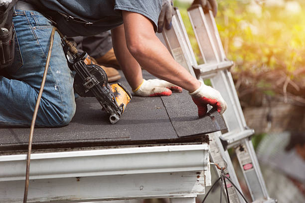 Professional Roofing Contractor in Pisgah, AL